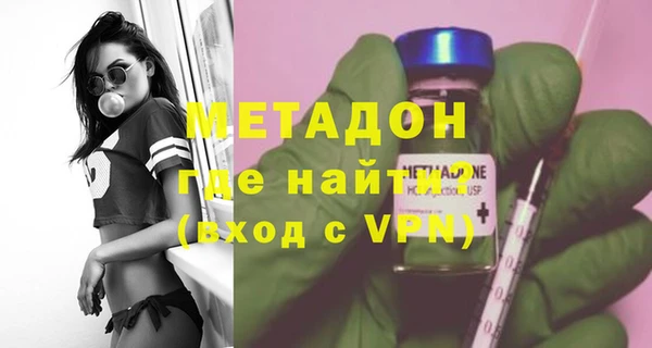 прущие грибы Балахна