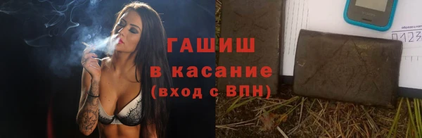 прущие грибы Балахна