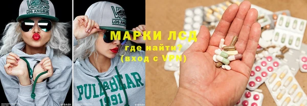 прущие грибы Балахна